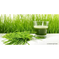 Weizengras Pulver kaufen im Test & Vergleich 2