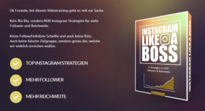 Instagram Online Kurs Test