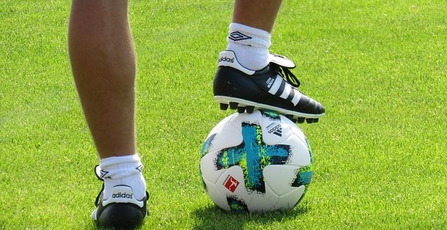 Fussball Tipp Vorhersage Bundesliga