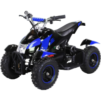 Kinderquad Test