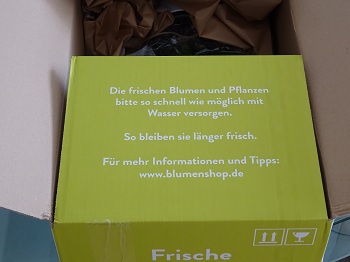 Blumenshop.de Erfahrungen 2