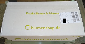 Lieferung von blumenshop.de im Test